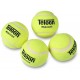 Мяч для большого тенниса TELOON (4 шт в тубе) тренировочный Стандарт 801Т Р4 Желтый